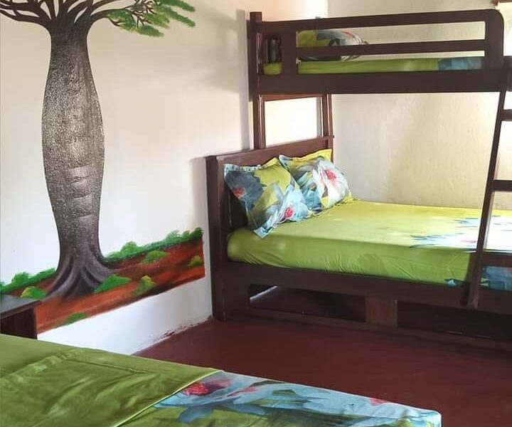 Évasion unique : maison de vacances au style authentique - B2