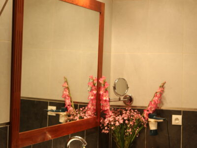 Hôtel Brajas - chambre tout confort N°16