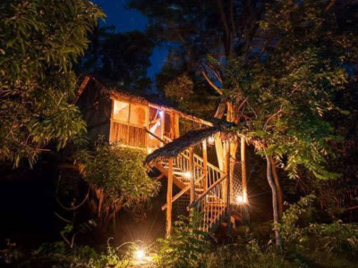 Jungle Park Lodge Spa & Adventure - Cabane N°1
