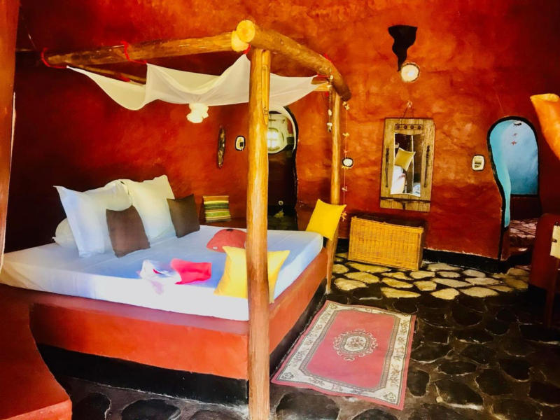 Jungle Park Lodge et Spa - Ecodome N°5