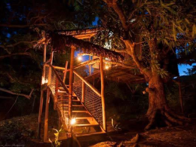 Jungle Park Lodge Spa & Adventure - Cabane N°1