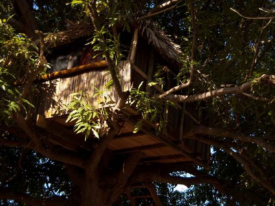Jungle Park Lodge Spa & Adventure - Cabane N°1