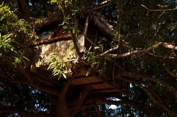 Jungle Park Lodge Spa & Adventure - Cabane N°1