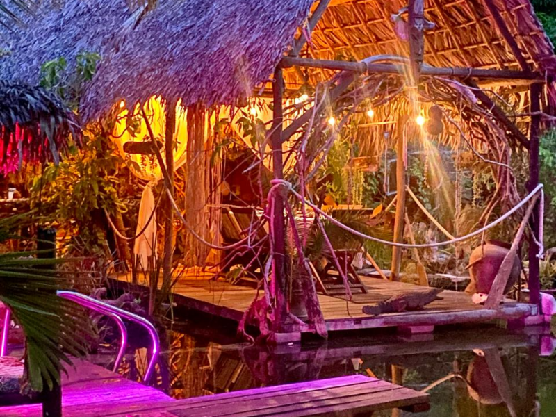 Jungle Park Lodge et Spa - Ecodome N°1