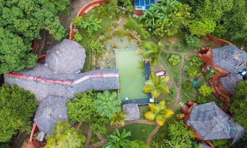 Jungle Park Lodge Spa & Adventure - Cabane N°1