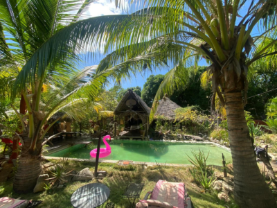 Jungle Park Lodge et Spa - Cabane N°4
