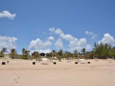 Hôtel Ecolodge Riake Resort & Villa - Bungalow confortable N°4