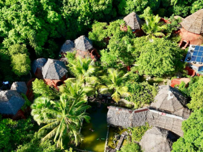 Jungle Park Lodge Spa & Adventure - Cabane N°4