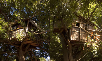 Jungle Park Lodge Spa & Adventure - Cabane N°4