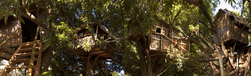 Jungle Park Lodge Spa & Adventure - Cabane N°4