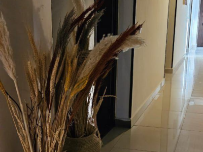 Maison d’exception, entre raffinement et quiétude