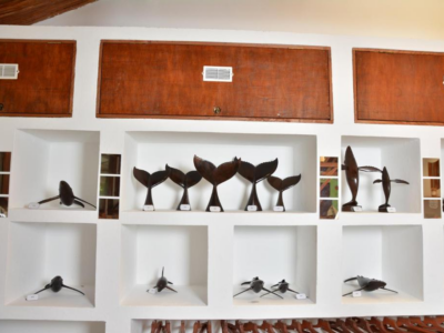 Hôtel Ecolodge Riake Resort & Villa - Bungalow confortable N°3