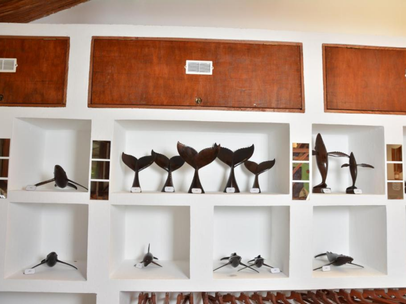 Hôtel Ecolodge Riake Resort & Villa - Bungalow confortable N°3