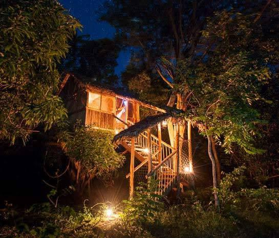 Jungle Park Lodge Spa & Adventure - Cabane N°4