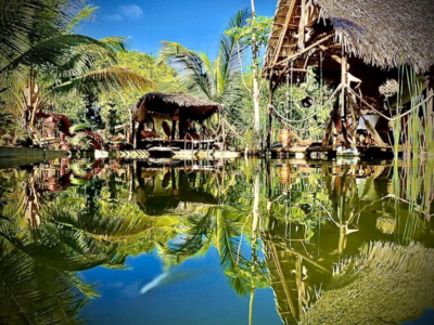 Jungle Park Lodge Spa & Adventure - Ecodome N°1
