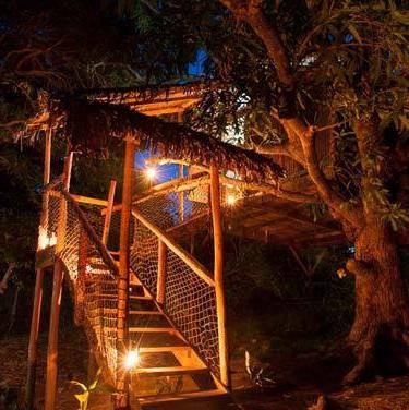 Jungle Park Lodge Spa & Adventure - Cabane N°3