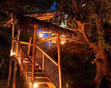 Jungle Park Lodge Spa & Adventure - Cabane N°4