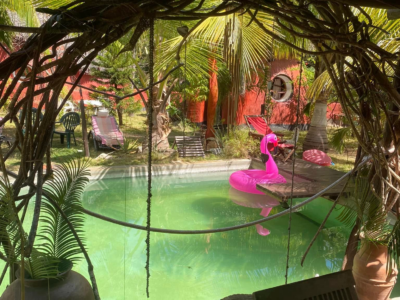 Jungle Park Lodge Spa & Adventure - Ecodome N°2