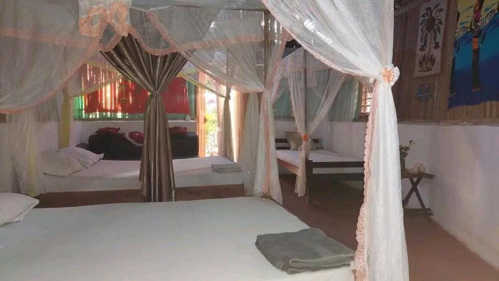 RESIDENCE BIMOKO Ambaro - Nosy Be – photo 4