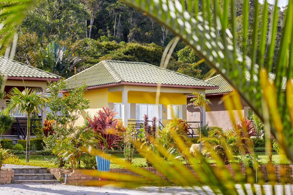 LEMURS LODGE ANDASIBE – photo 5