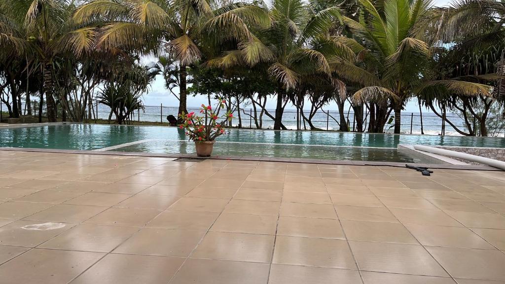 LE ZANATANY BEACH - Belambo Tamatave – photo 3