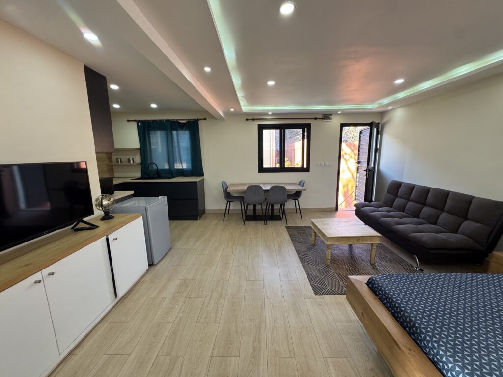 Un beau studio moderne à Ivato – photo 2