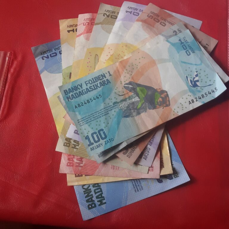 Billets d’ariary, la monnaie de Madagascar